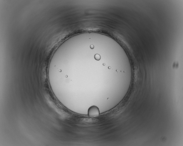 X0000111630541200907171131