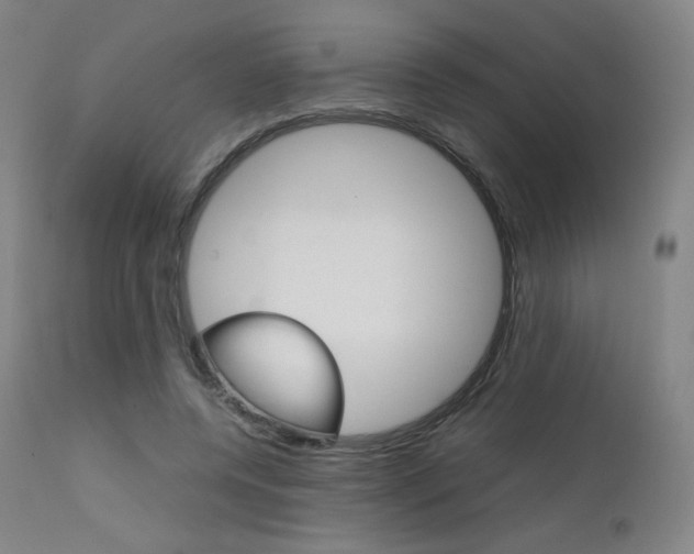 X0000111630544200907171131