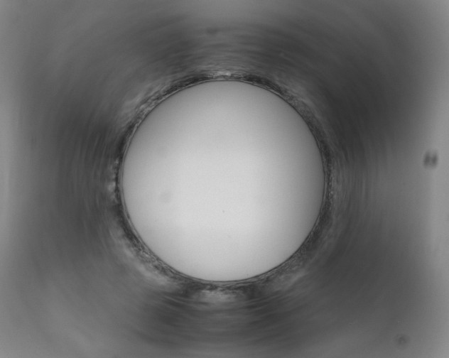X0000111630545200907171131