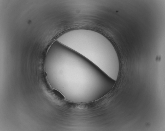 X0000111630546200907171131