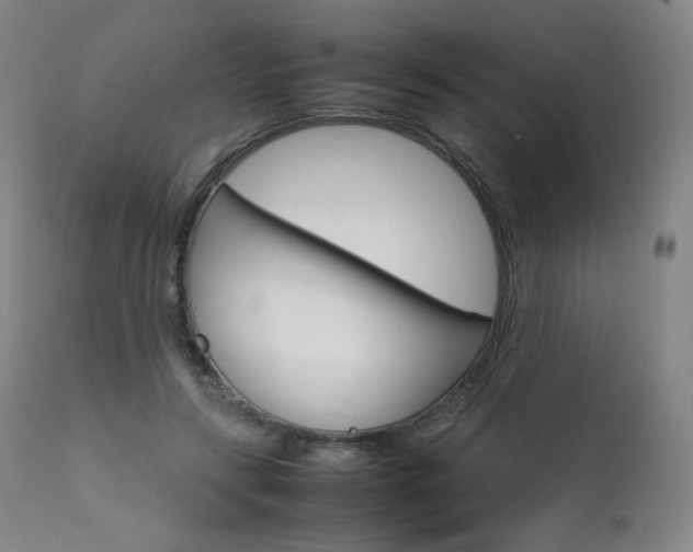 X0000111630547200907171131