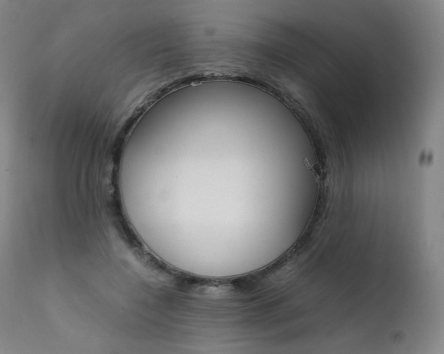 X0000111630548200907171131
