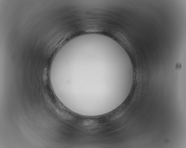 X0000111630549200907171131