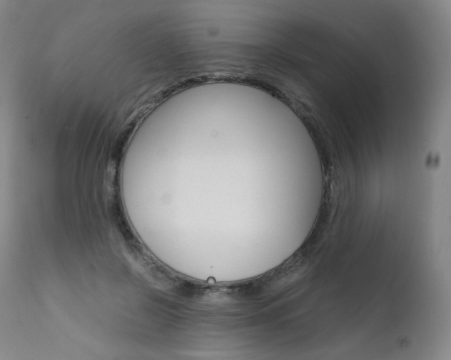 X0000111630550200907171131