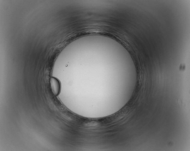 X0000111630551200907171131