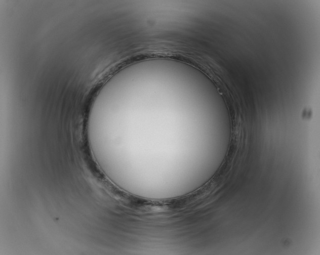 X0000111630552200907171131