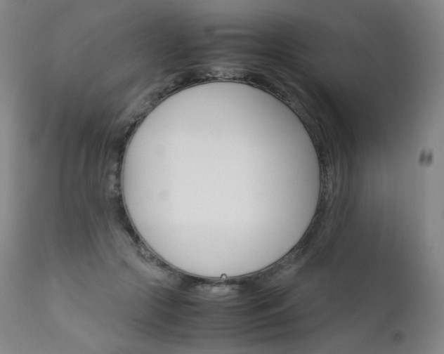 X0000111630553200907171131