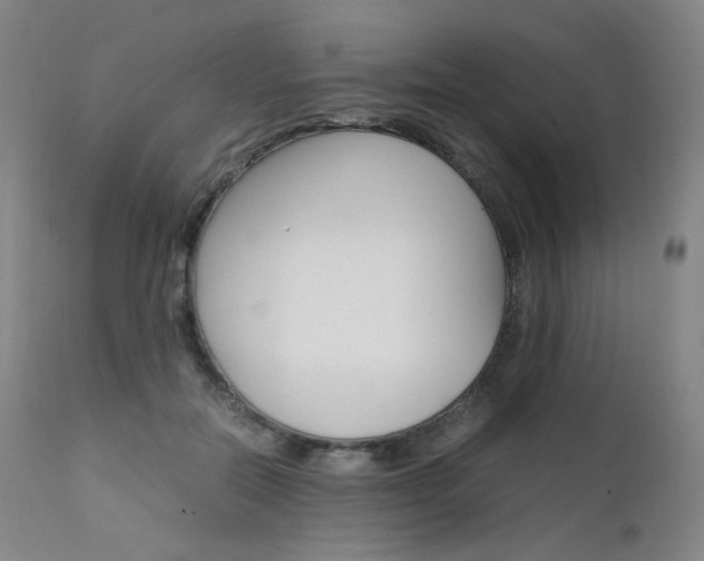 X0000111630554200907171131