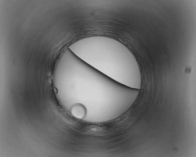 X0000111630555200907171131