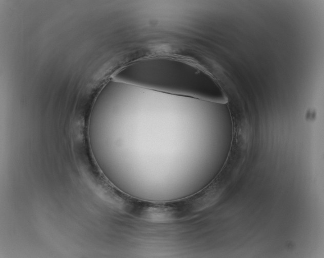 X0000111630556200907171131