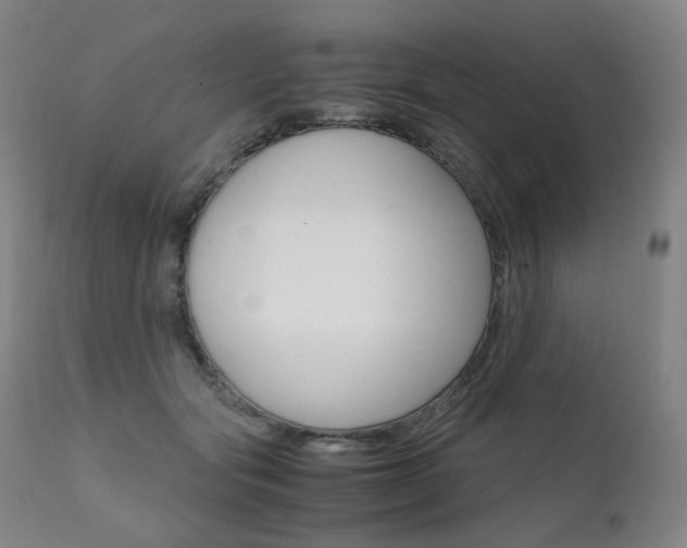 X0000111630557200907171131