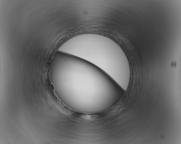 X0000111630558200907171131