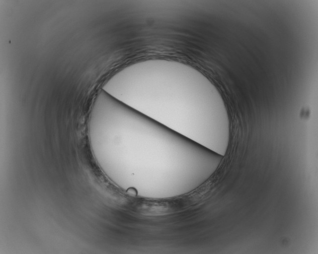 X0000111630559200907171131