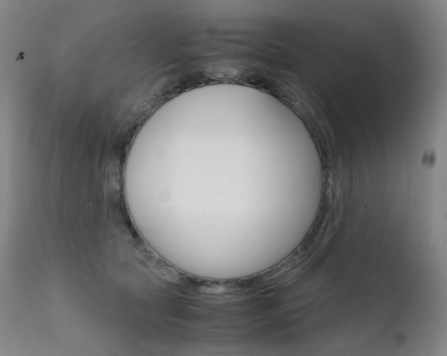 X0000111630561200907171131