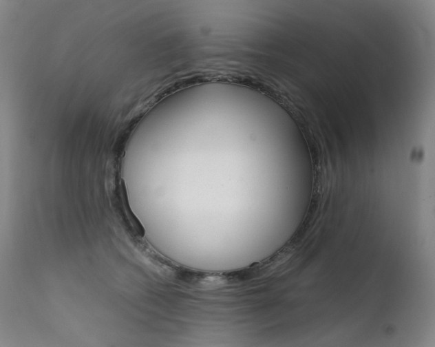 X0000111630562200907171131