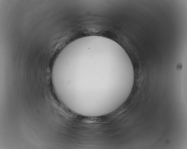 X0000111630563200907171131