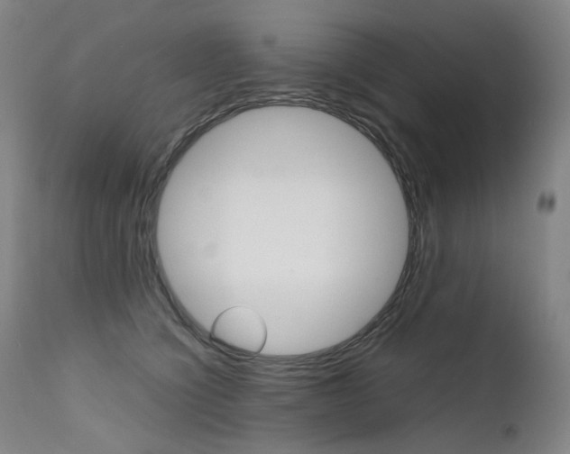 X0000111630564200907171131
