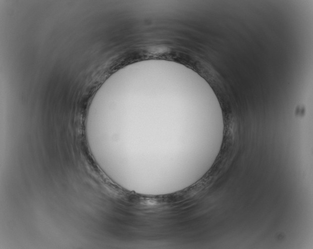 X0000111630565200907171131