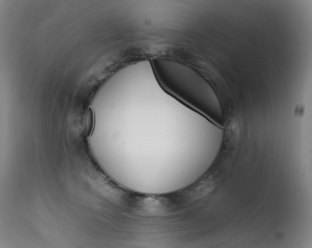 X0000111630566200907171131