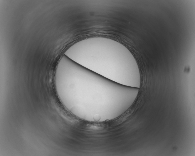 X0000111630567200907171131