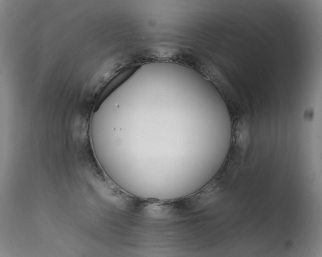 X0000111630568200907171131