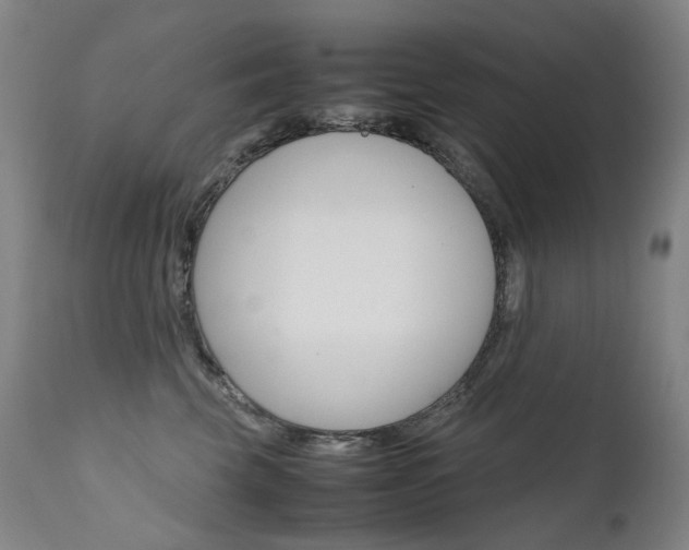 X0000111630569200907171131