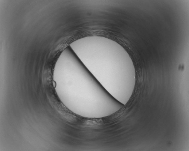 X0000111630571200907171131