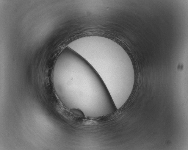 X0000111630572200907171131