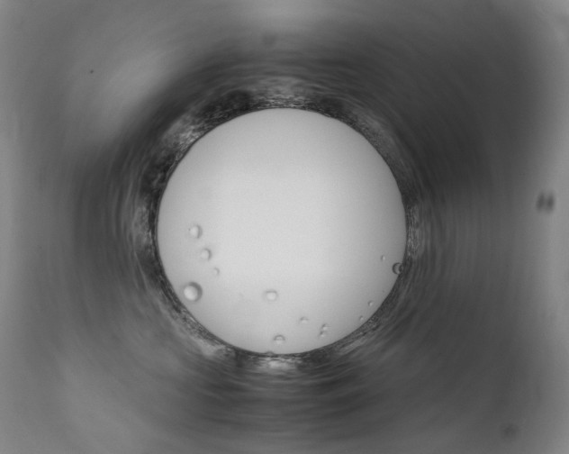 X0000111630573200907171131