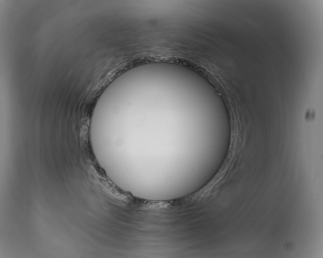 X0000111630576200907171132