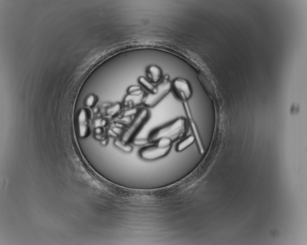 X0000111630577200907171131