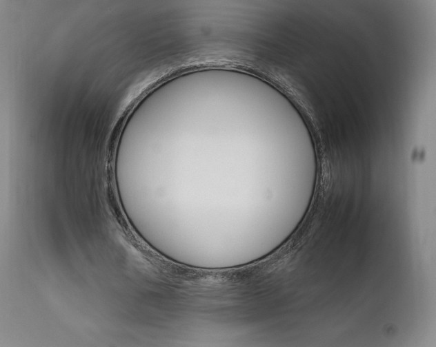 X0000111630578200907171131
