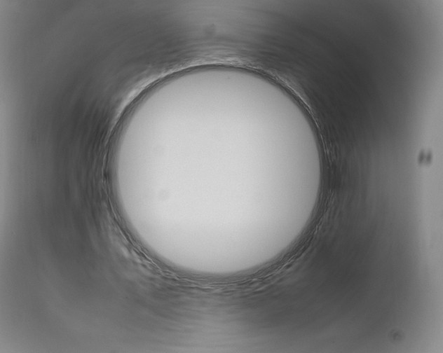 X0000111630579200907171131