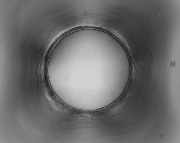 X0000111630580200907171131