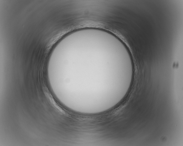 X0000111630581200907171131