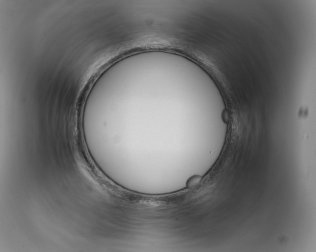 X0000111630582200907171131