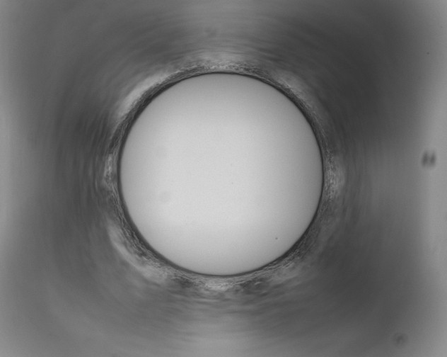 X0000111630583200907171131