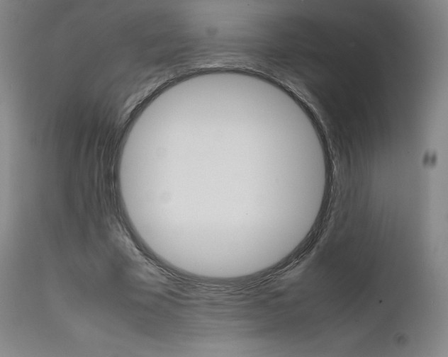 X0000111630585200907171131