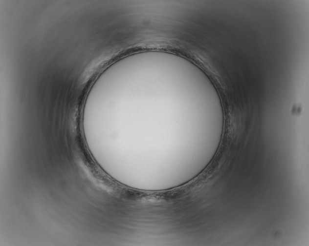 X0000111630586200907171131