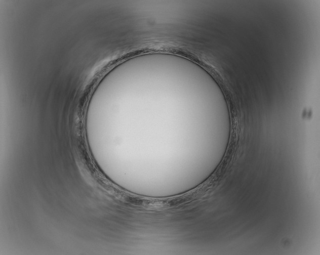 X0000111630587200907171131