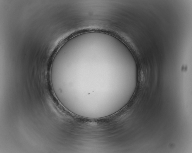 X0000111630588200907171131