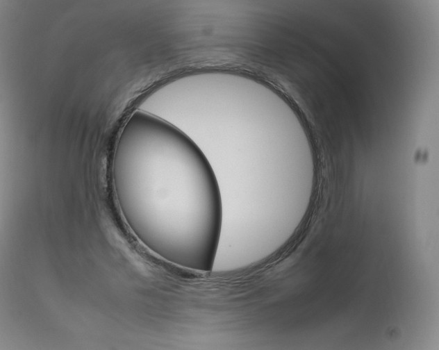 X0000111630589200907171131