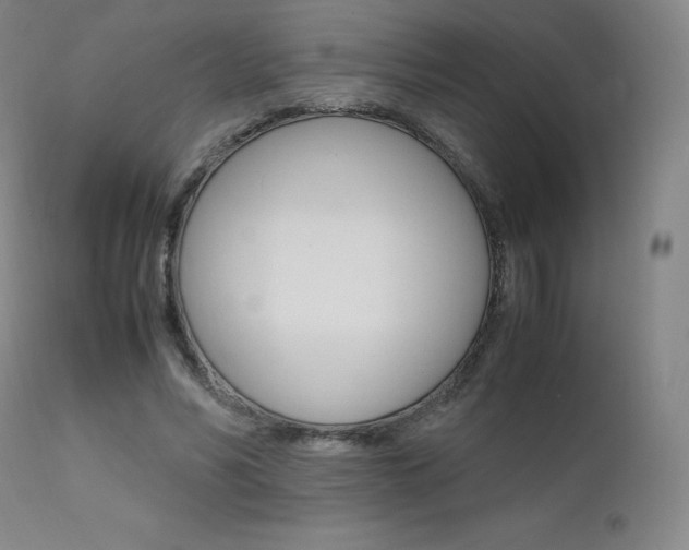 X0000111630590200907171130