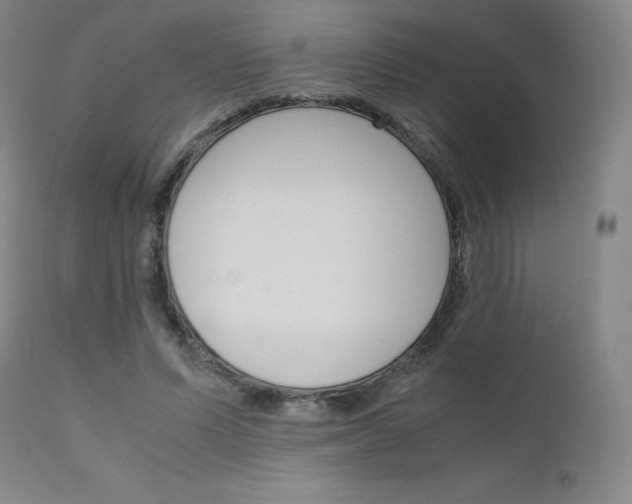 X0000111630591200907171130