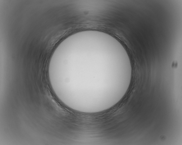 X0000111630593200907171130