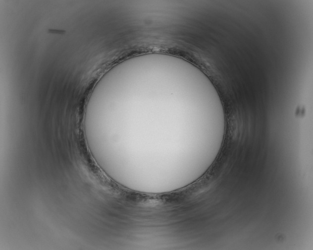 X0000111630594200907171130
