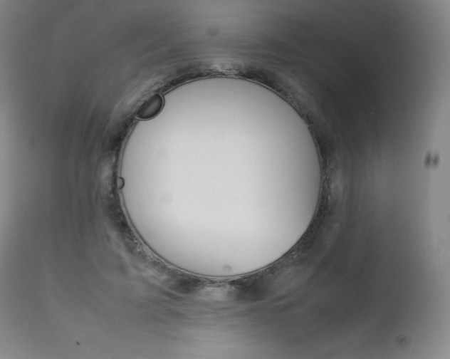 X0000111630595200907171130