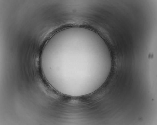 X0000111630596200907171130