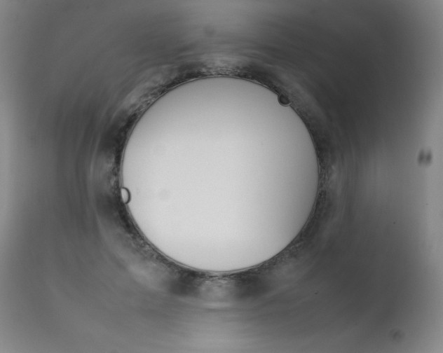 X0000111630599200907171130