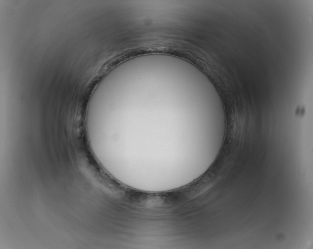 X0000111630600200907171130